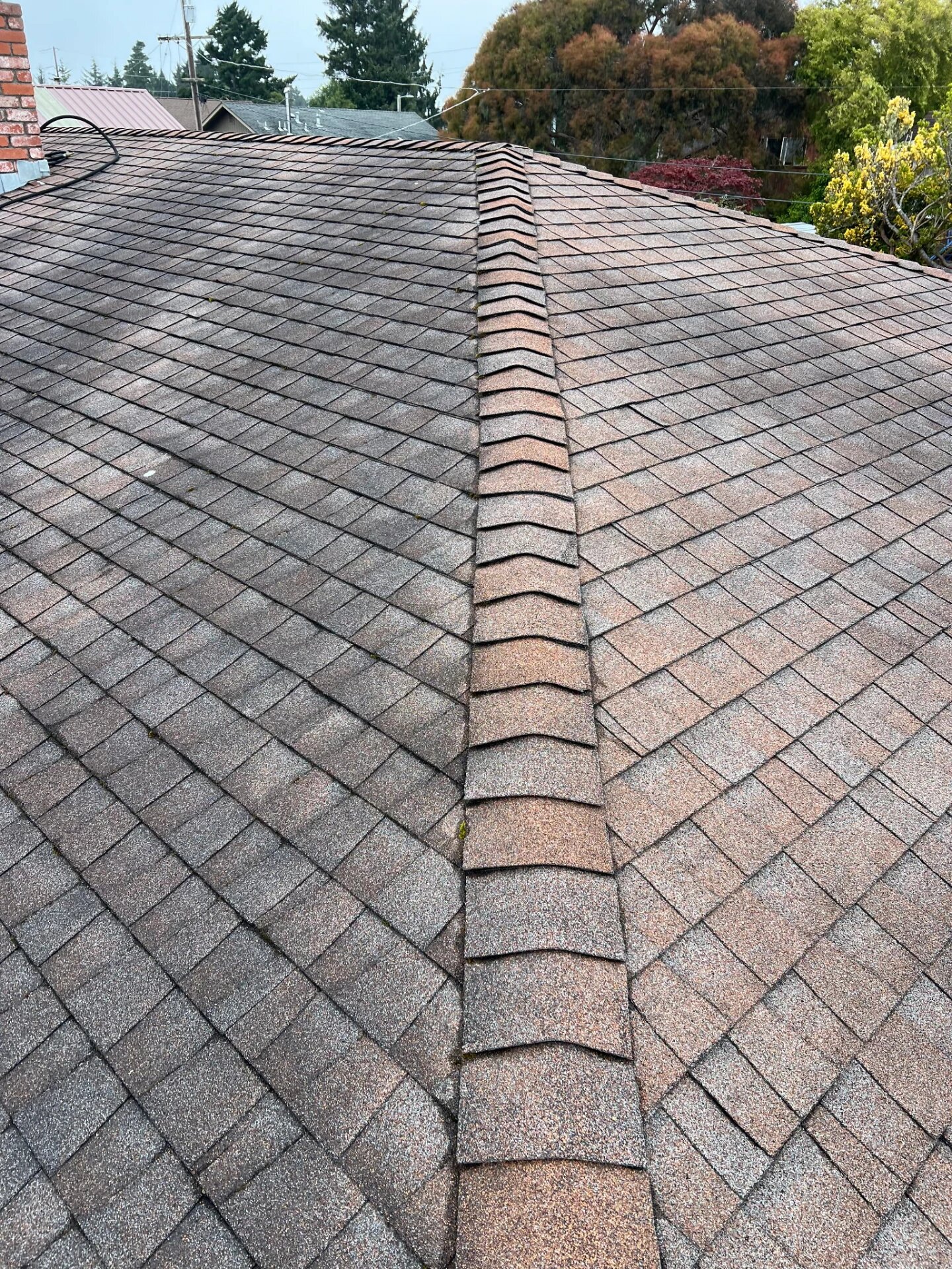 Roof ridge with one slope freshly cleaned and the other still showing dark buildup